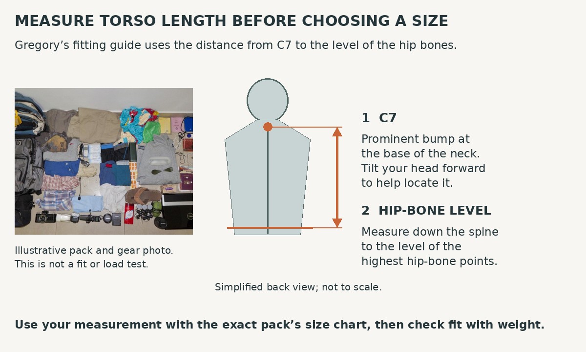 Simplified back-view diagram marking C7 and hip-bone level, with an arrow showing the torso-length measurement